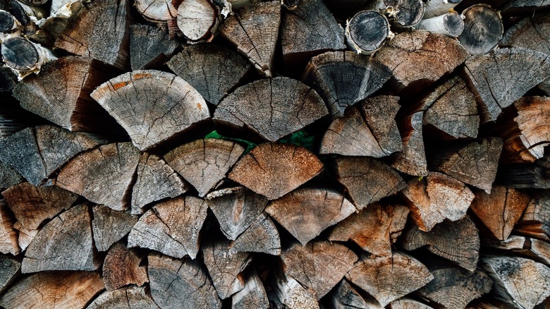 chopped firewood in a pile