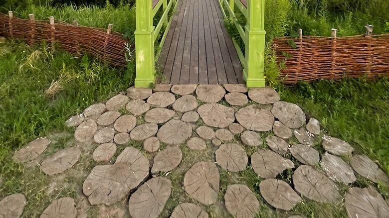 tree stump walking path