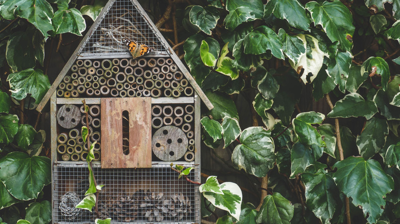 pollinator house surround by leaves