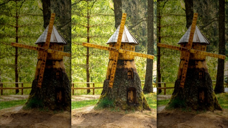 fairy home in a tree