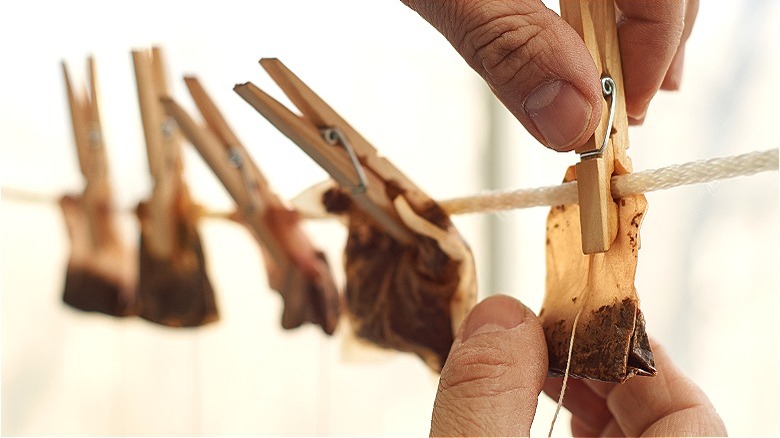 Person drying tea bags