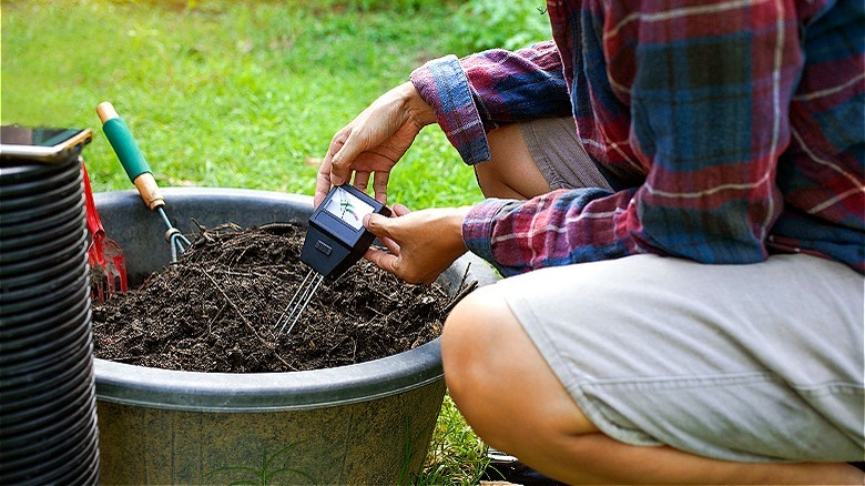 Person testing for soil acidity