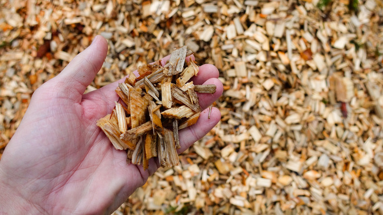 hand scooping up wood chips