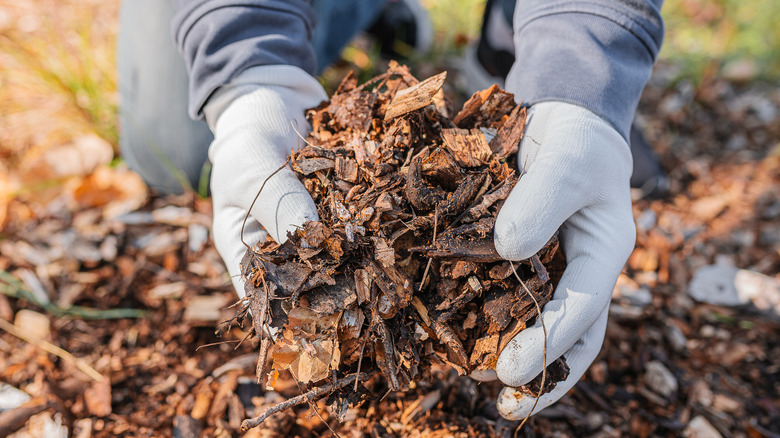 person handling wood chips 