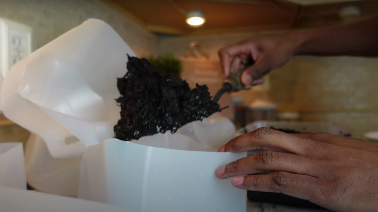 person shoveling soil into jug