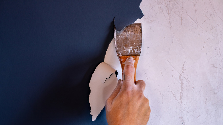 A person strips blue paint