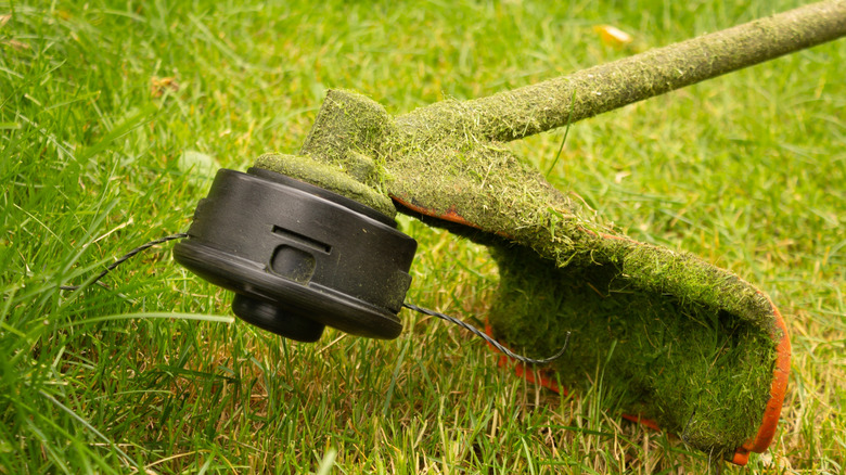 A weed eater with black trimmer head and black line is covered in grass clippings