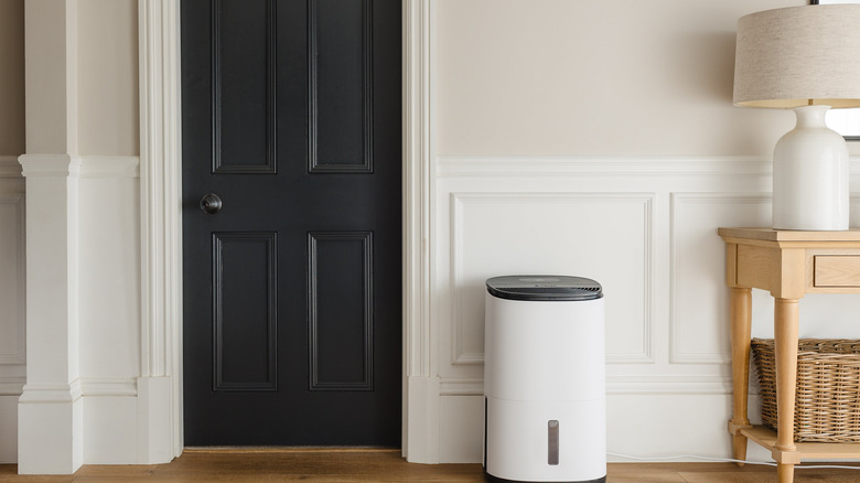 A dehumidifier next to a door