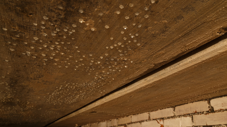 Condensation on a basement ceiling