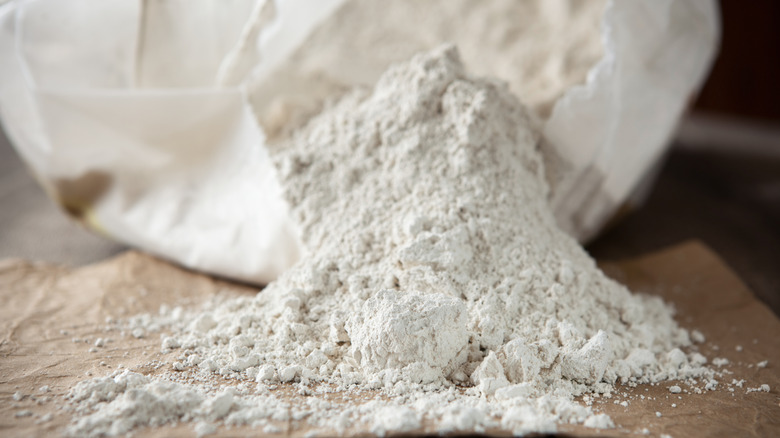 image of bag of diatomaceous earth for getting rid of fleas