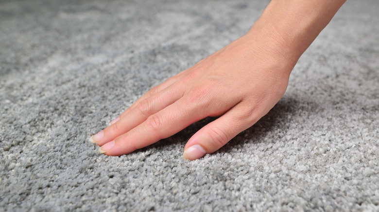 Person's hand touching gray carpet