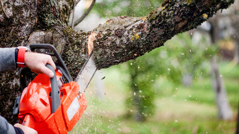 electric chainsaw