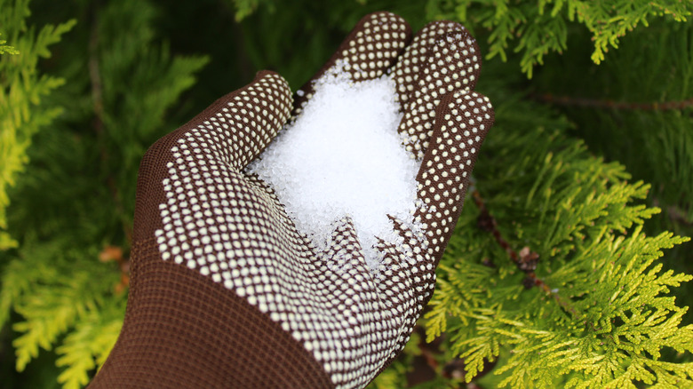 Epsom salt handful