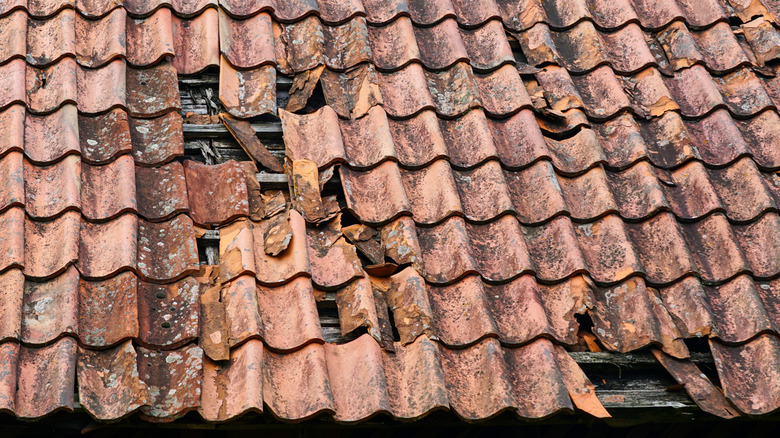 Old clay roof tiles are broken and covered in algae