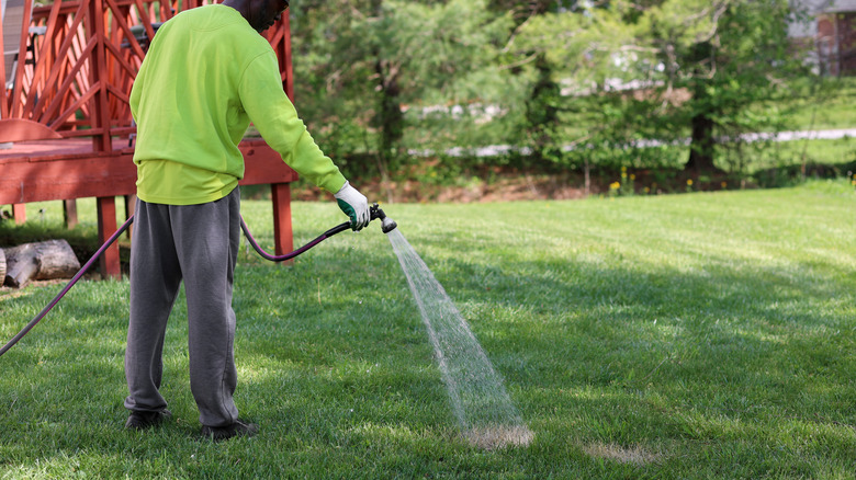 Man watering brown lawn patch