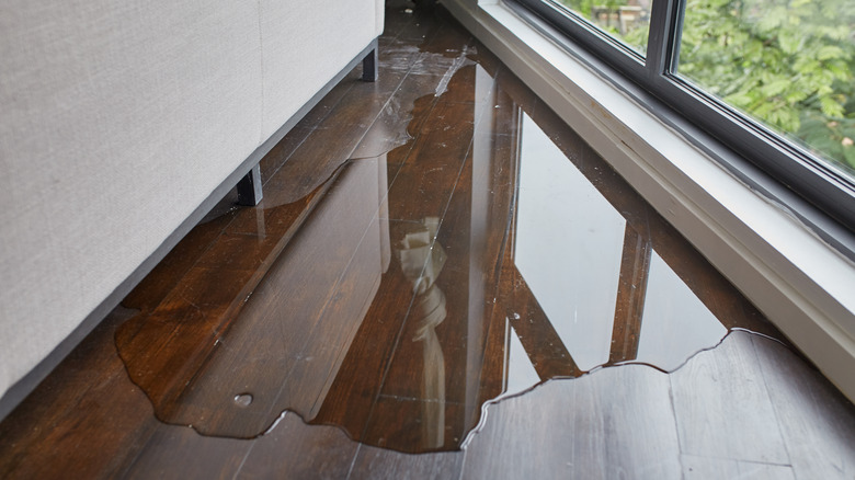 A wood floor has a small amount of flooding