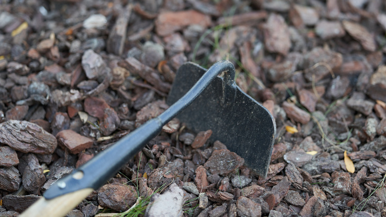 Garden hoe on bark mulch