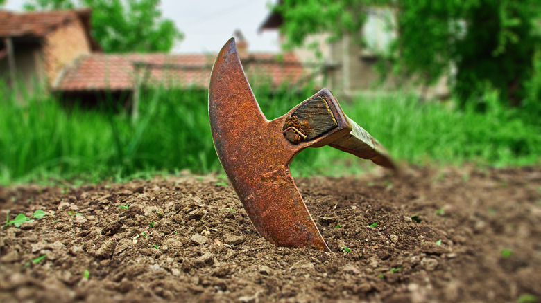 Severely rusted garden hoe