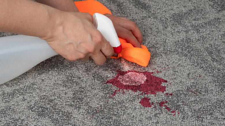 Spraying red stain on a carpet and blotting with cloth