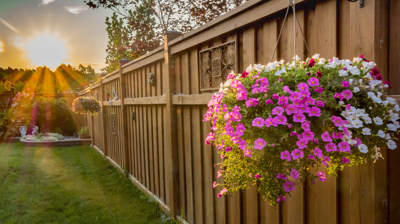 garden fence