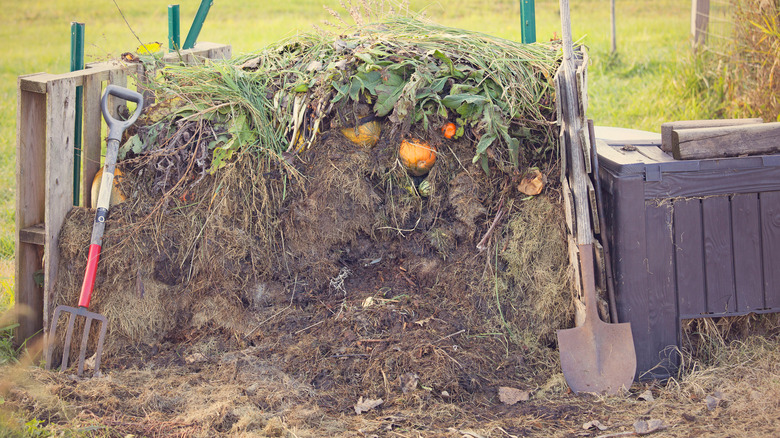 A working compost pile