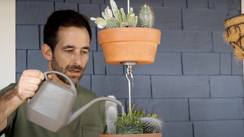 man watering hanging plant pots