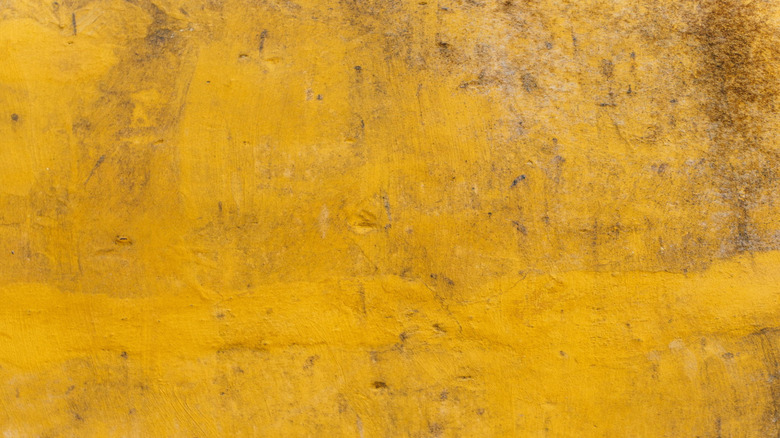 concrete stained with yellow-hued concrete stain