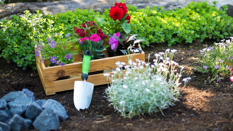 crate of blooms gardener tools