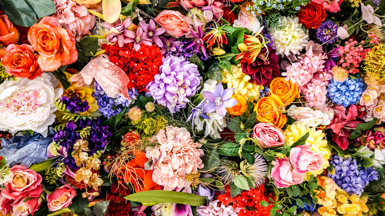 vibrant blooms flower bunch pollinators