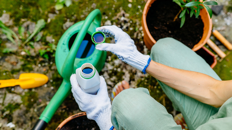 Hands pouring liquid with watering can