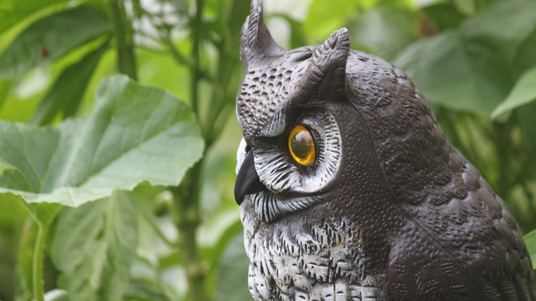 Fake owl in garden