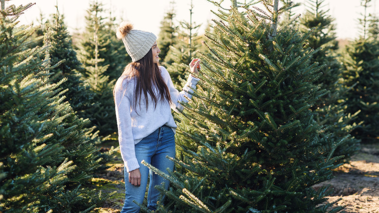 Person buying Christmas tree