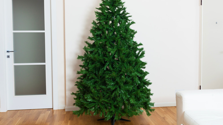 bare Christmas tree