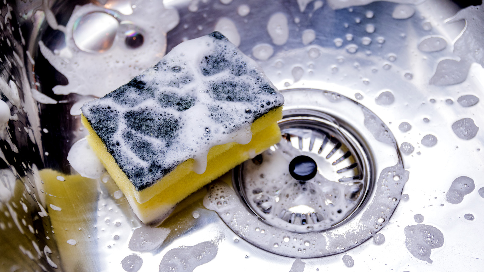 Draining Sponge Tray Keeps Your Sponge Dry
