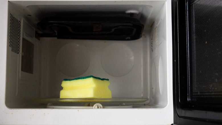 Sponge in microwave