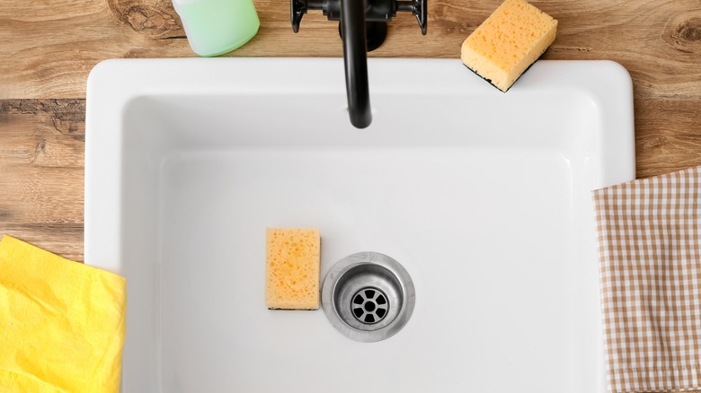 Sponges sitting around kitchen sink