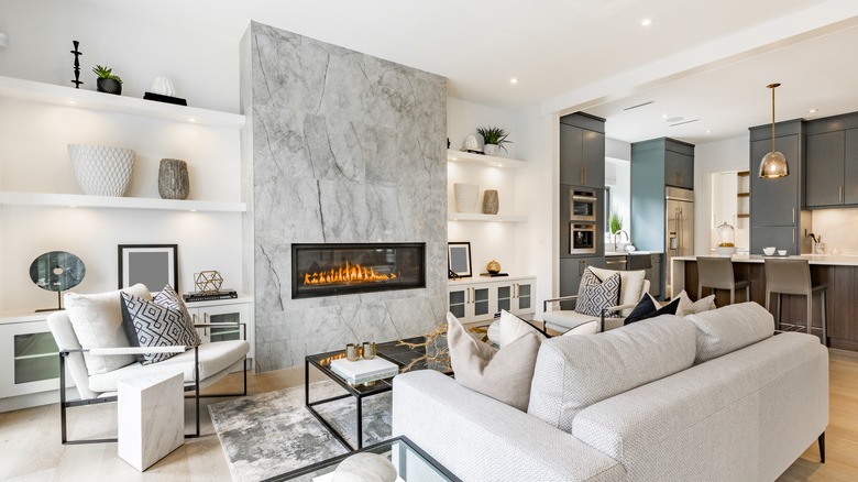 fireplace surrounded in white shelves
