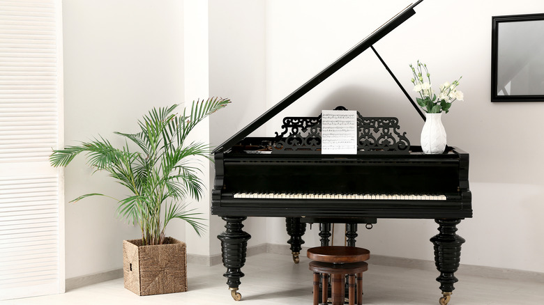 black grand piano with plants