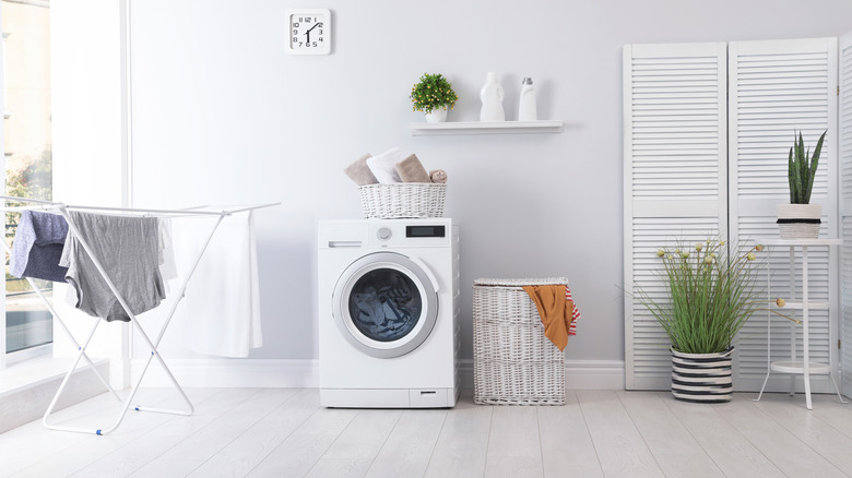 laundry room with plant ledge 