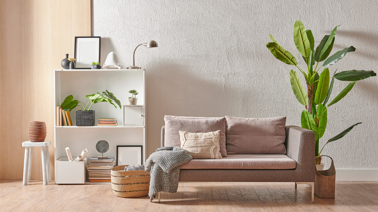 tall tree behind living room sofa