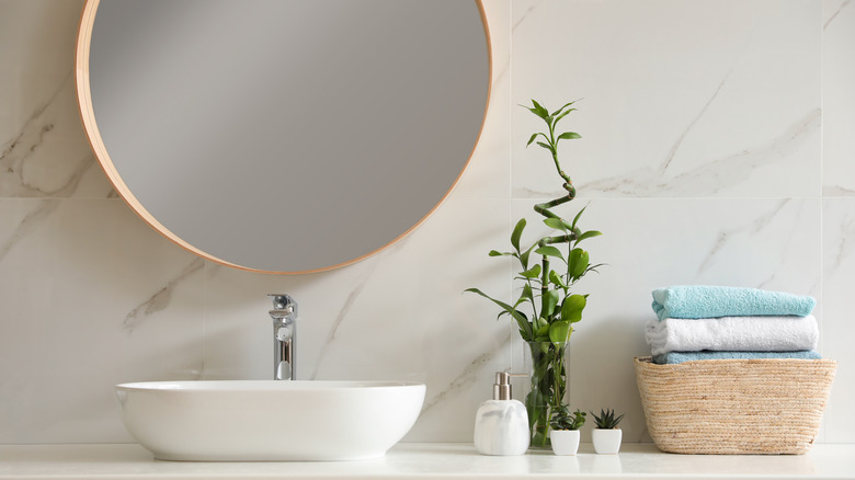 bamboo plant by bathroom sink