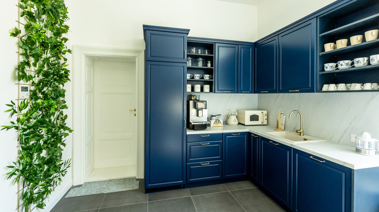 navy cabinets in kitchen