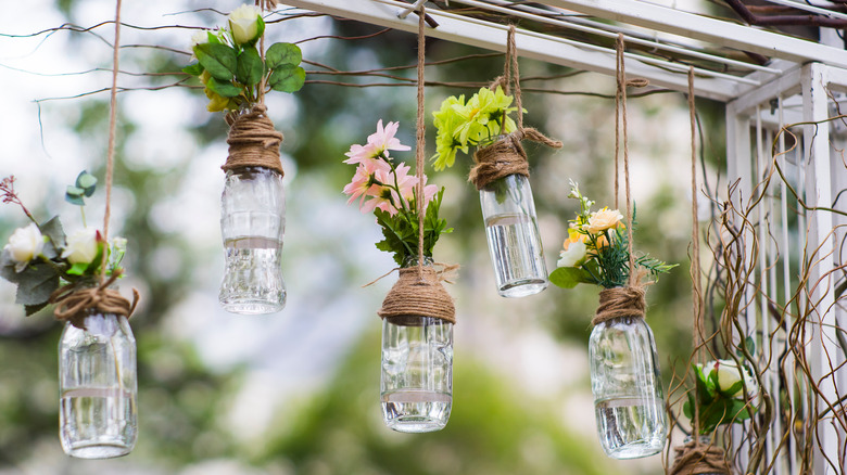 hanging vases on a tree