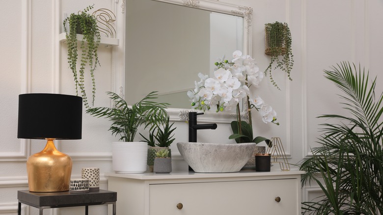 bathroom with house plants