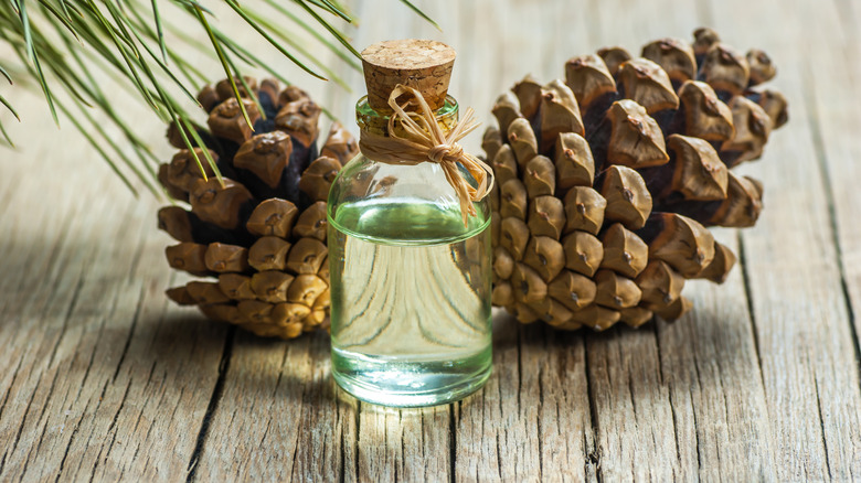 Turpentine bottle and pine cones