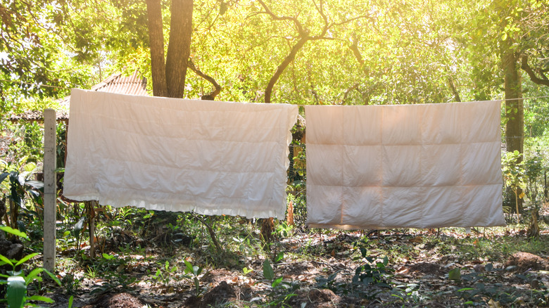 Blankets on outdoor clothesline