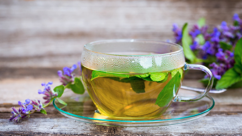 Catnip tea in a glass