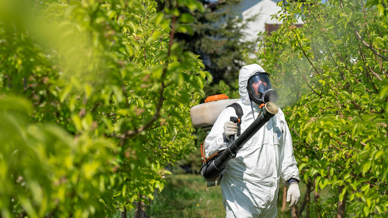 Farmer in protective suit