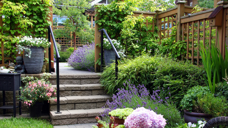 Patio garden