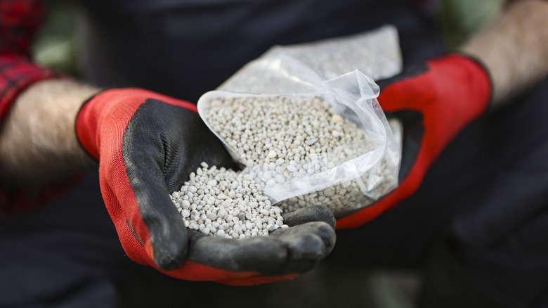 farmer holding fertilizer